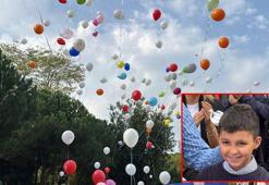 Lösemiyi yenen Mirza için yüzlerce balon uçuruldu