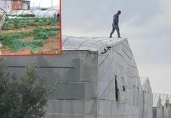 Mersin'de hortum ve fırtına seralara zarar verdi