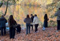 Yedigöller Milli Parkı, ziyaretçi akınına uğradı