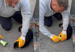 Başı konserve kutusuna sıkışan kediyi belediye temizlik personeli kurtardı