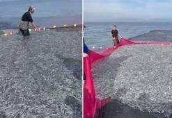 İznik Gölü'nde tek seferde 21 ton gümüş balığı yakalandı