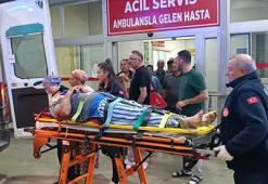 Zeytin bahçesindeki tepeden düşüp, yaralandı