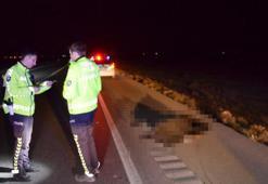 Hakkında kayıp ihbarında bulunulan kişi, otomobilin çarpması sonucu hayatını kaybetti