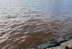 İzmir Körfezi'nde kötü koku sürüyor; denizin rengi kahverengiye döndü