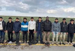 Edirne’de 10 kaçak göçmen yakalandı