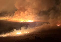 Yüksekova'daki Nehil Sazlığı'nda yangın