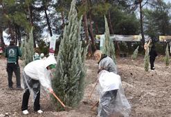 İzmir’de 115 bin adet fidan toprakla buluşturuldu
