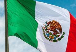 Meksika'da gizli mezarlıkta 16 ceset bulundu