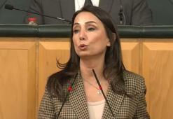 DEM Parti'li Hatimoğulları: Komisyonun Öcalan ile görüşmesi süreci daha da hızlandıracak