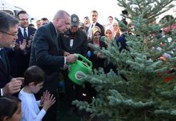 Cumhurbaşkanı Erdoğan: Son 23 yılda orman varlığımızı 23,4 milyon hektara çıkardık