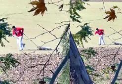 Belediye personeli, sokak köpeğini iple sürükledi