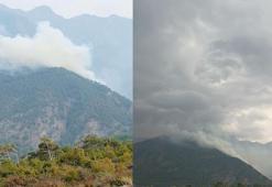 Hatay'da orman yangını