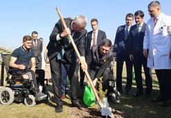 Bakan Memişoğlu, gazilerle fidan dikti