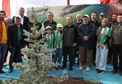 Orman şehidi Eyüp Dereli’nin adı 15 bin fidanla yaşayacak