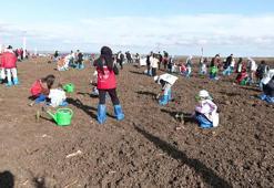 Milli Ağaçlandırma Günü'nde Silivri'de 15 bin fidan dikildi