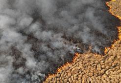 Nehil Sazlığı'ndaki yangın söndürüldü