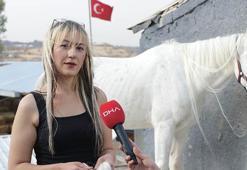 Kadın kuaförü, yelelerine taktığı kaynaklarla atları güzellik yarışmalarına hazırlıyor