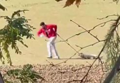 Sokak köpeğini iple sürükleyen belediye personeli adli kontrolle serbest