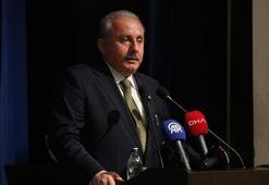 Şentop: Üniversiteyi bitirmiş olma aşamanın önemsenmesi evlenme yaşını yukarı taşıyor