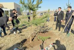 Şavşat'ın toprağı Karabağ şehitleri anısına fidanla buluştu