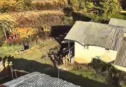 Bağ evinde saklanan firari hükümlüye jandarmanın operasyonu dron kamerasında