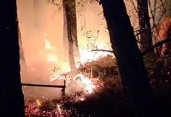 Hatay’da yıldırım düşmesi sonucu çıkan orman yangını, 12 saatte kontrol altına alındı