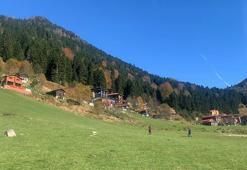 Ayder Yaylası’nda teleferikle ulaşım planlanıyor