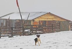 Ordu’nun yüksekleri beyaza büründü