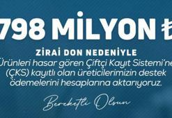 Tarım ve Orman Bakanlığı'ndan üreticilere 22 milyar 946 milyon lira zirai don desteği