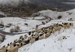 Hakkari'de kar yağışı