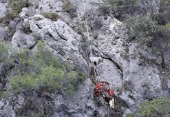 Fethiye'de kayalıkta mahsur kalan 4 keçiyi, AKUT kurtardı