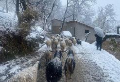 Van'da Karabet Geçidi'nde kar yağışı etkili oldu