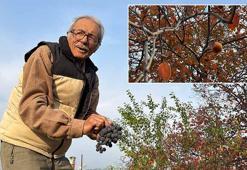 86 yaşında, arazisinde 54 farklı organik meyve yetiştiriyor