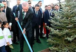 Bakan Yumakllı: 11 Kasım'da 14 milyon 914 bin fidan toprakla buluştu