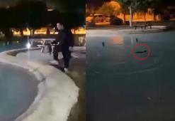 Sokak kedisini defalarca süs havuzuna attılar