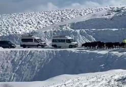 Muş'ta 14 köy yolu kardan kapandı