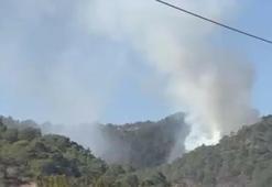 Muğla Seydikemer'de orman yangını
