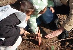 ‘Gazze Hayat Ormanı’na hayatını kaybeden çocuklar için 10 bin fidan dikildi