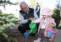 Orman Genel Müdürü Karacabey: 30 milyon fidan sahiplenildi