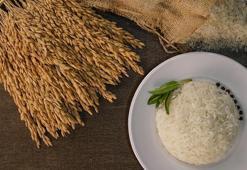 İpsala pirinci, AB Coğrafi İşaret Tescili aldı