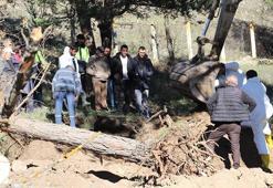 Su altında kalacak mezarlıktaki kabirler taşınıyor