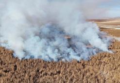 Konya Gök Gölü'ndeki sazlık bölgedeki yangın 2'nci gününde devam ediyor
