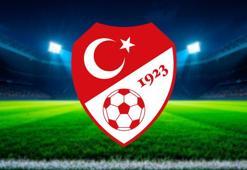 A Milli Futbol Takımı'nın play-off'taki muhtemel rakipleri belli oldu