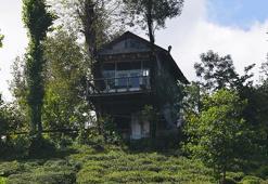 İki kardeşin hayali gerçek oldu; atık malzemeden manzaralı ağaç ev yaptılar