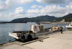 Japonya'da yangın: 170'ten fazla bina hasar gördü, 1 kişi kayıp