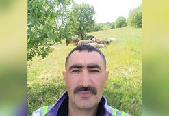 Manisa'da avcı tarafından vurulan çoban öldü