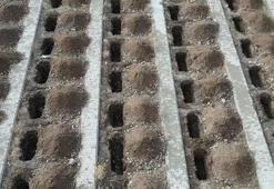 Erzurum'da dondurucu soğuklar öncesi '500 kışlık mezar' kazıldı