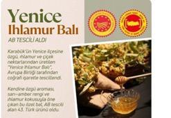Yenice Ihlamur Balı'na AB'den coğrafi işaret tescili