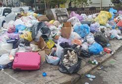 Karasinek popülasyonunda 'sıcaklık' ve 'çöp' etkisi