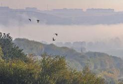 Dicle Vadisi’nde sis manzaraları